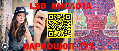 spice Кулебаки