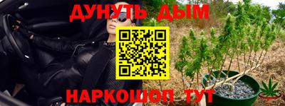 spice Кулебаки