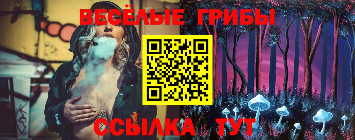 Псилоцибиновые грибы Psilocybe  Псилоцибиновые грибы Psilocybe  Вход с VPN  Зерноград 