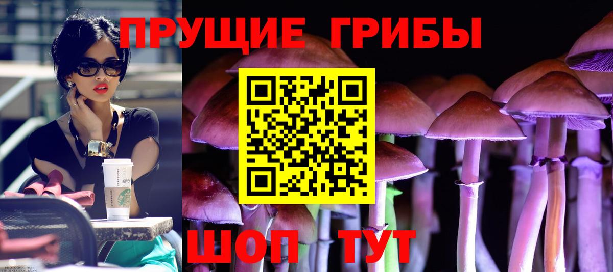 Псилоцибиновые грибы GOLDEN TEACHER Зерноград