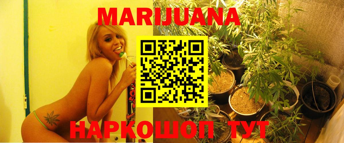 Шишки марихуана сатива Зерноград